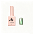 AMO Cat Eye Magnetic UV Gel Polish | Grey-green Color Shimmer Glossy Nail Art Gel for Salon & Home Use